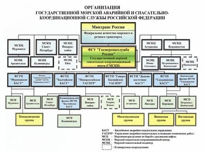 organizatsiya-gosmorsluzhbyi.jpg