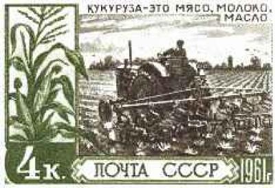 98.jpg