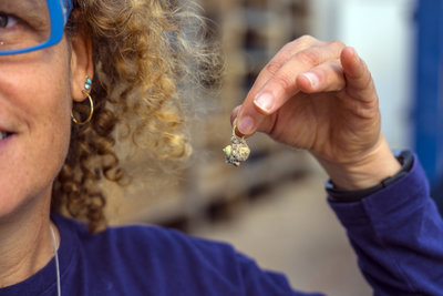 2F82F599-E9F2-4DF8-BEDC-02B11E06EDAE-1024x683.jpeg (103.27 КБ) 426 просмотров 2F82F599-E9F2-4DF8-BEDC-02B11E06EDAE-1024x683.jpeg