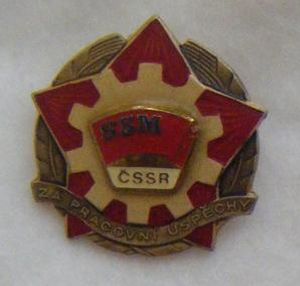 SSM4Z[1].jpg