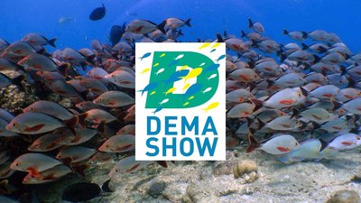 DEMA-show_1600x900.jpg