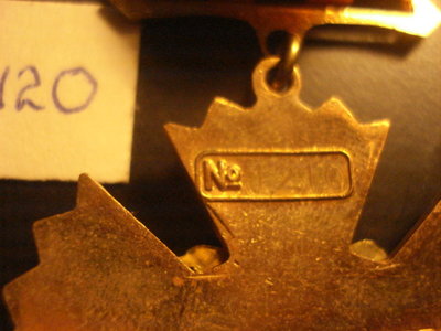 DSC07797.JPG