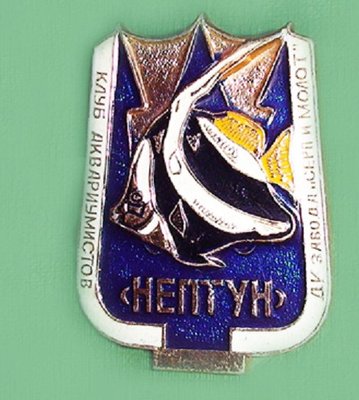 neptun-badge-2.jpg