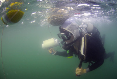 Flickr_-_Official_U.S._Navy_Imagery_-_A_Royal_Australian_Navy_Clearance_Diving_Team_performs_an_underwater_search..jpg