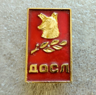 e6a90a.jpg