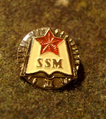 SSM2.JPG
