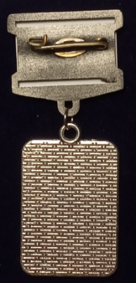 Подвеска 24х34, 10 шт., Дрю74 (2).png