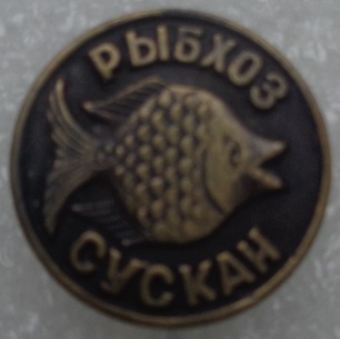 1967 хрящевка.JPG
