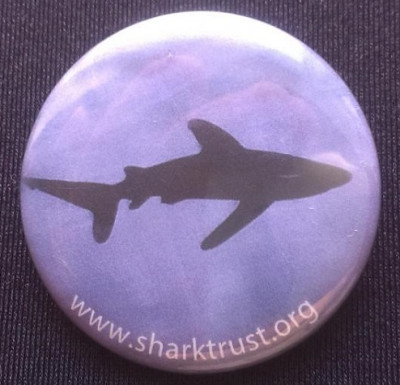 big_znachok-inostrannyy-akula-zashchita-ohrana-akul-shark-www-sharktrust-org-d-37mm-3_3389915.jpg