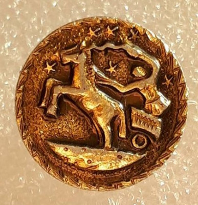 лен_сувенир_пуговица_небесный_возничий.jpg