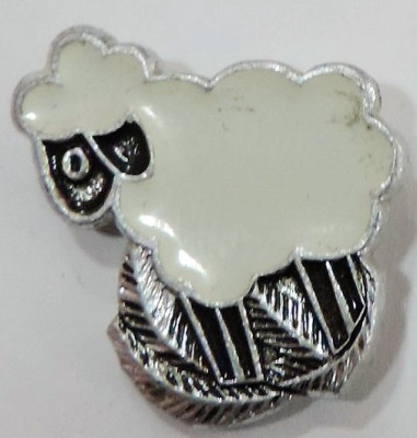 5040801576_0.jpg