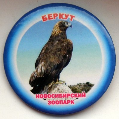 Новосибирский зоопарк Беркут.jpg