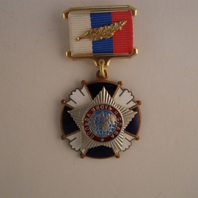 P1.jpg