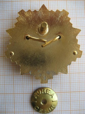 zvaigzne 003.jpg