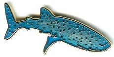 1429WHALESHARK.jpg