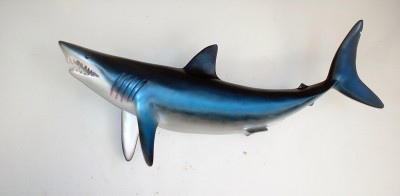 mako_shark_2.jpg