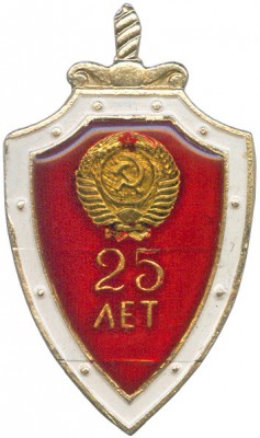25 лет учреждению од-1_3.JPG