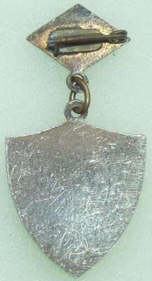 Festival Irkztsk revers.jpg