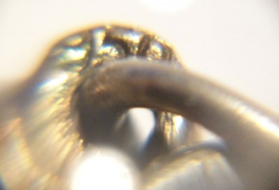 DSC01212.jpg