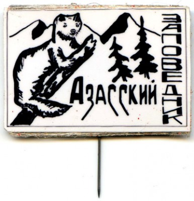 Азасский.jpg