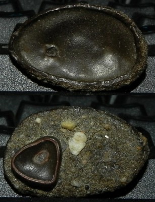 2010-07-28_194906.jpg