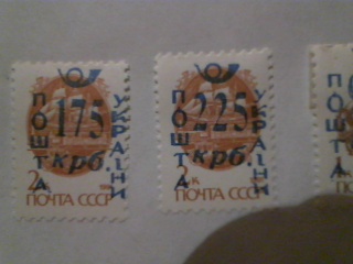 Picture 28.jpg
