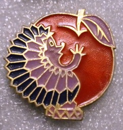 CIMG1762.JPG