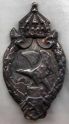 Bulgar__pilotBadge.jpg