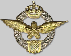 Royal Yugsolavian Flight Engineer Badge.jpg