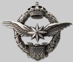 Royal Yugsolavian Observer Badge.jpg