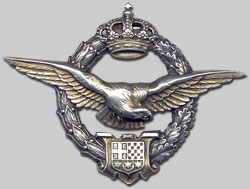 Royal Yugsolavian Pilot Badge.jpg