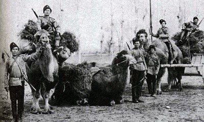 Оренбургские казаки в верблюдами. Туркестан..jpg