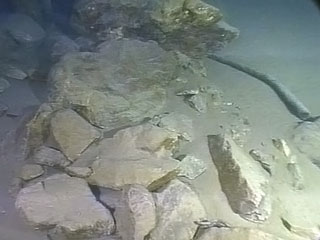 b_455812.jpg