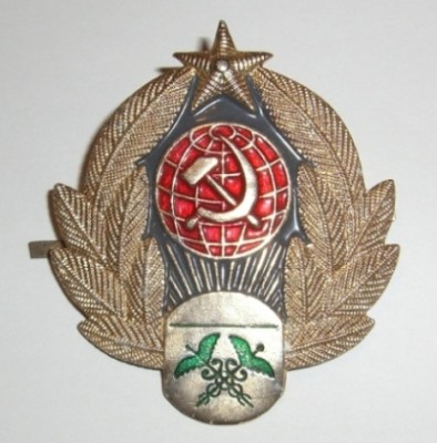 CIMG3011.JPG