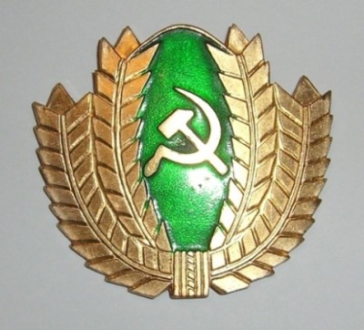 CIMG3008.JPG