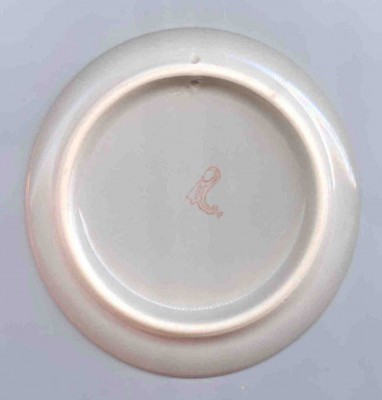 Плесецк тарелка реверс.jpg