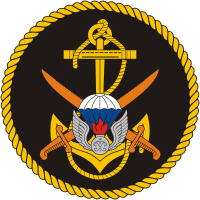 879th_marine_battalion_patch_n12757.gif