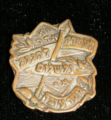 nzn9_004.jpg