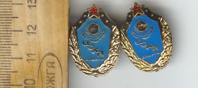 сканирование0003.jpg