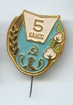 r9wbpi.jpg
