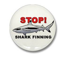 Stop finning1.jpg