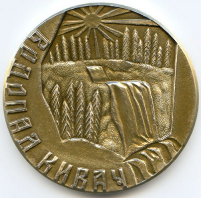 медаль ав м.jpg