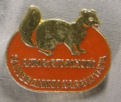 фотография 061.jpg