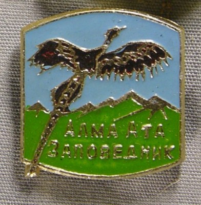 фотография 062.jpg