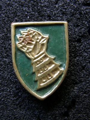 PB290023.jpg