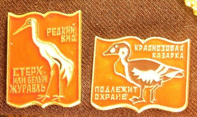 фотография 091.jpg