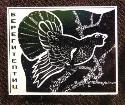 фотография 102.jpg