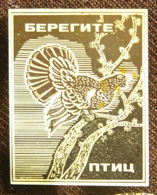 фотография 103.jpg