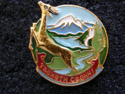 PC080023.jpg