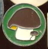 290 - копия.jpg